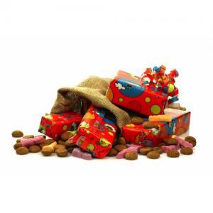Sinterklaas kapoentje. Cadeaus voor ieder schoentje Sinterklaas-kapoentje.-Cadeaus-voor-ieder-schoentje